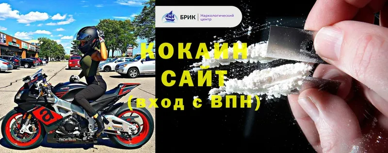 COCAIN FishScale  Губкин 